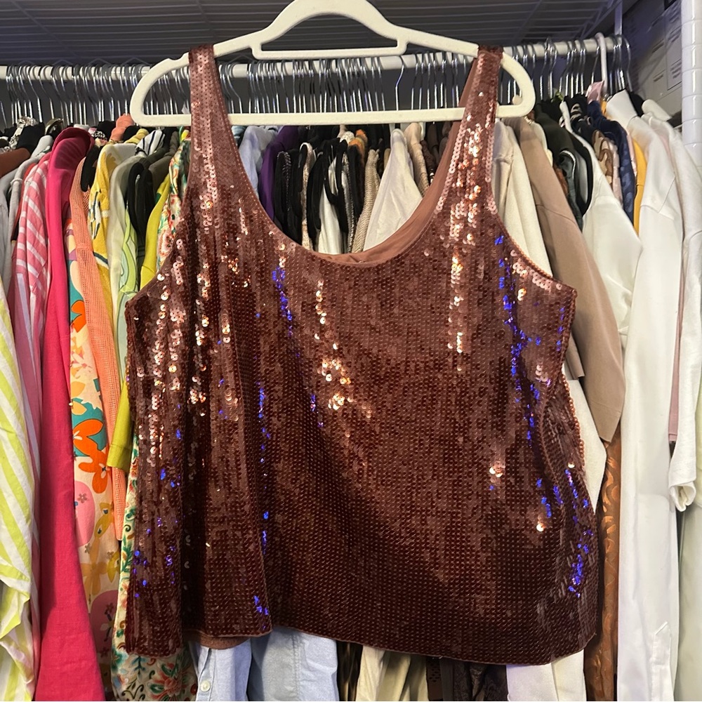 NWT EXPRESS BROWN SEQUIN TANK TOP LG